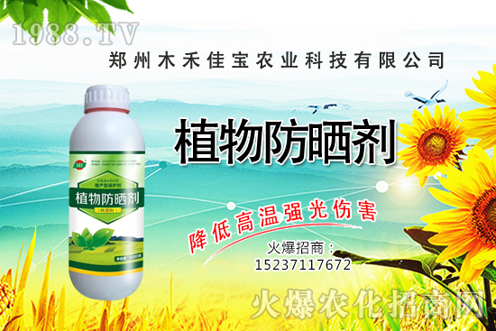 芽苗菜種植前景怎么樣，芽苗菜種植技術(shù)有哪些？