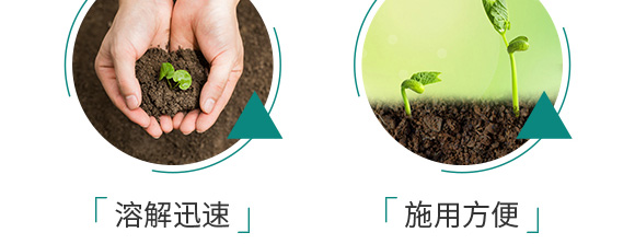 硫酸鉀型復合肥料25-14-6-鄂陽_08