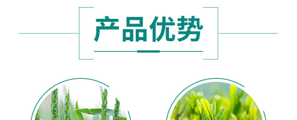 硫酸鉀型復合肥料25-14-6-鄂陽_06