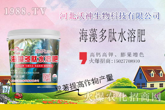  作物長勢好不好，根系管理很重要！“海藻多肽水溶肥”開啟作物生根時(shí)代！