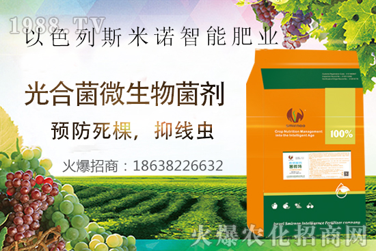 根結(jié)線蟲危害大，太難防？“菌微特”來幫忙！抑制線蟲和蟲卵，干凈！