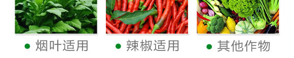一棵一粒-沃源生物_08