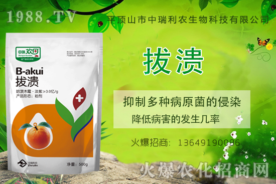 柑橘潰瘍病危害一年比一年嚴(yán)重，柑橘潰瘍病如何防控？