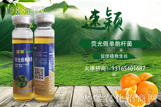 柑橘潰瘍病危害一年比一年嚴(yán)重，柑橘潰瘍病如何防控？