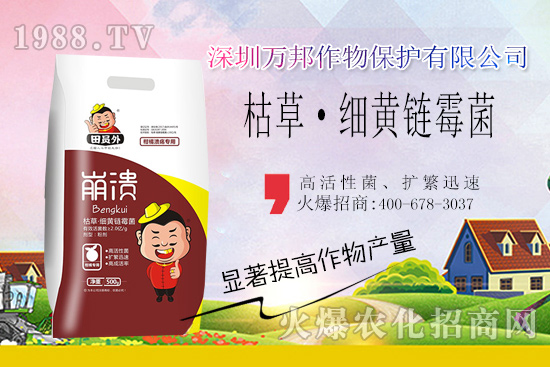 柑橘潰瘍病危害一年比一年嚴(yán)重，柑橘潰瘍病如何防控？