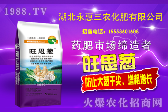 大蔥生長高峰期！大蔥干尖是咋回事，大蔥干尖防治要點有哪些？