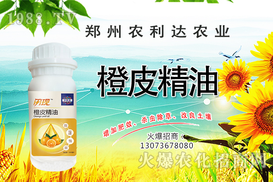 橙皮精油您了解多少？橙皮精油有什么作用？怎么選橙皮精油？