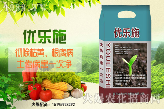 種芹菜空心多，品質(zhì)差？芹菜空心原因及防治措施！