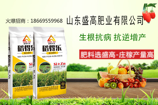 盛高肥業(yè)怎樣，有哪些優(yōu)勢？公司主打產(chǎn)品有哪些？