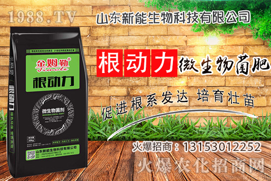 作物生根用什么肥？使用“微生物菌肥”有什么優(yōu)勢？