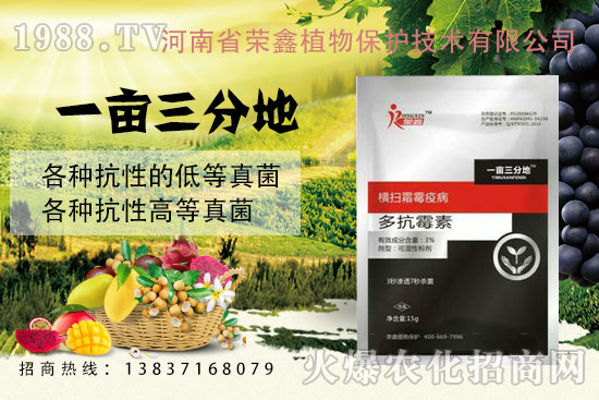 白粉、繡病、霜霉病害真難打？防治藥劑有哪些？殺菌產(chǎn)品匯總！