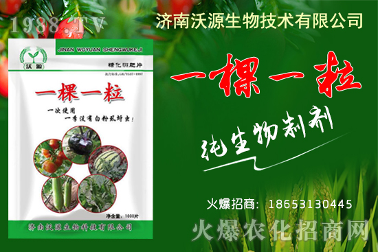     蚜蟲(chóng)、白粉虱、薊馬怎么防？沃源生物“一棵一?！睔⒊x(chóng)卵，藥效！