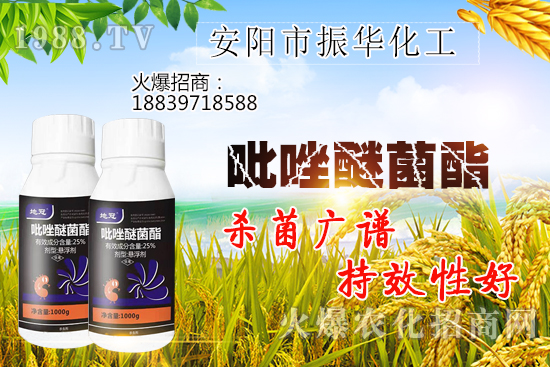 黃瓜白粉病危害有哪些，黃瓜白粉病怎么治？該打什么農(nóng)藥？