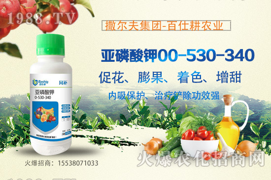 營(yíng)養(yǎng)控梢，預(yù)防潰瘍！亞磷酸鉀真的這么牛嗎？亞磷酸鉀作用原理！