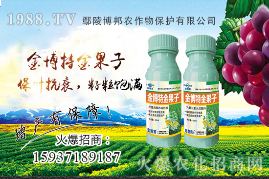 花生早衰減產(chǎn)嚴(yán)重該咋辦？花生早衰原因，種植戶如何避免？