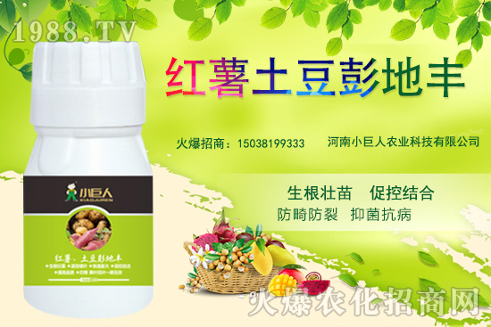 河南小巨人怎么樣？公司有什么優(yōu)勢？主推產(chǎn)品有哪些？