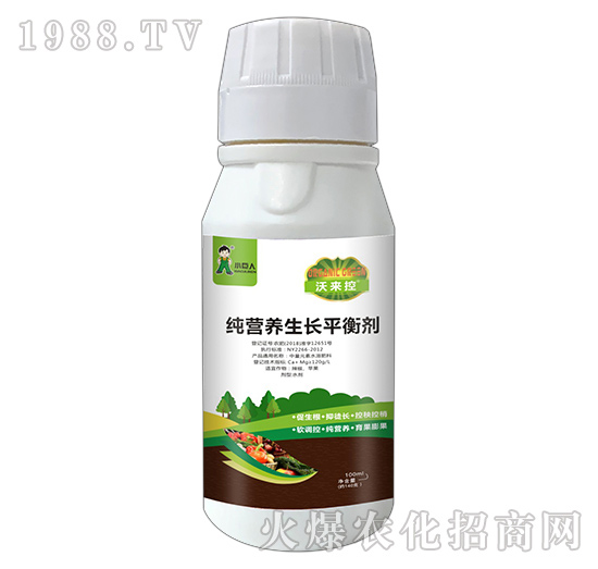 河南小巨人怎么樣？公司有什么優(yōu)勢？主推產(chǎn)品有哪些？