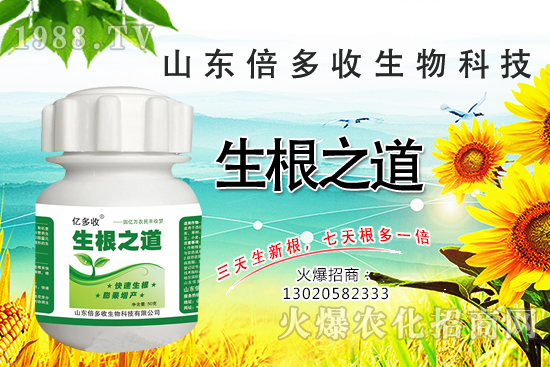 作物根系差，產(chǎn)量低？“生根之道”快生新根，抗病增產(chǎn)無憂！
