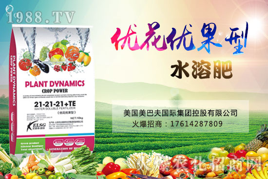 果實果小、不膨果？不妨試試“優(yōu)花優(yōu)果型水溶肥”，著色美果又增甜！