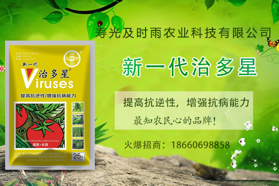 番茄病毒病你知道幾種？怎樣合理防治番茄病毒?。?內附防治方法) 