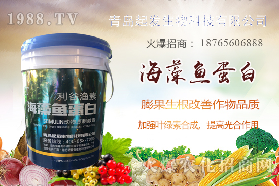 蔬菜定植如何緩苗快？蔬菜生根誤區(qū)有哪些？蔬菜生根壯苗肥推薦！