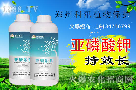 亞磷酸鉀功效及殺菌機(jī)理有哪些，亞磷酸鉀你用的合理嗎？