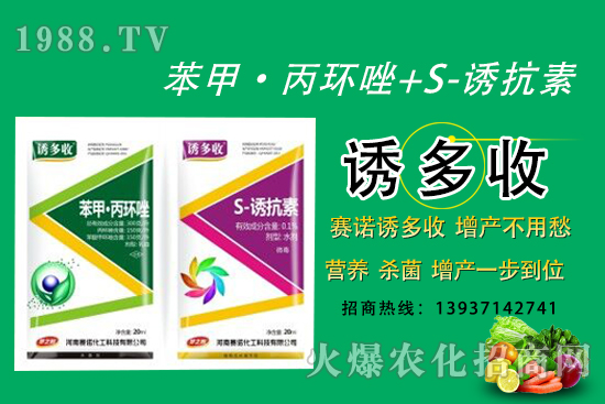“苯甲·丙環(huán)唑+S-誘抗素”營(yíng)養(yǎng)、殺菌、增產(chǎn)一步到位！