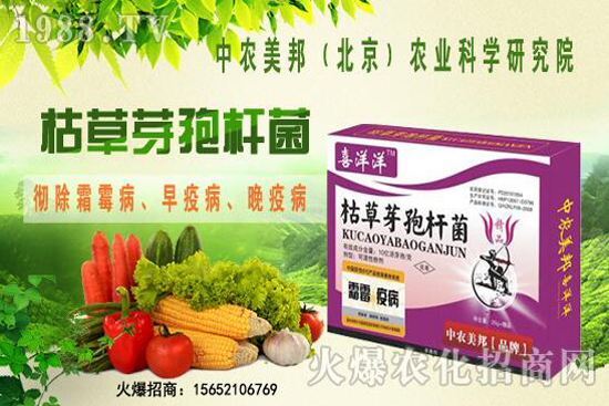 枯草芽孢桿菌治根腐病嗎，防治哪些土傳病害？防治對象有哪些？