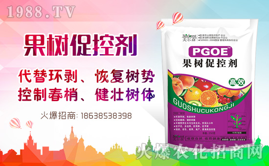 果樹巧用多效唑！效果翻倍沒問題！多效唑的作用與使用方法！