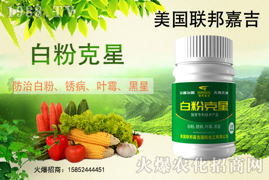 白粉病強(qiáng)勢(shì)來襲！反復(fù)發(fā)作真的治不好么？作物白粉病劑推薦！