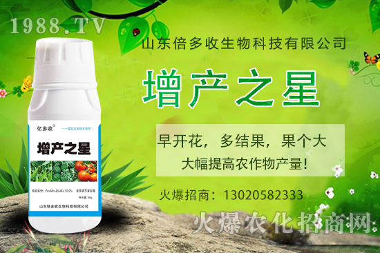 茄子需肥規(guī)律有哪些，茄子用什么肥料？茄子施肥注意事項！