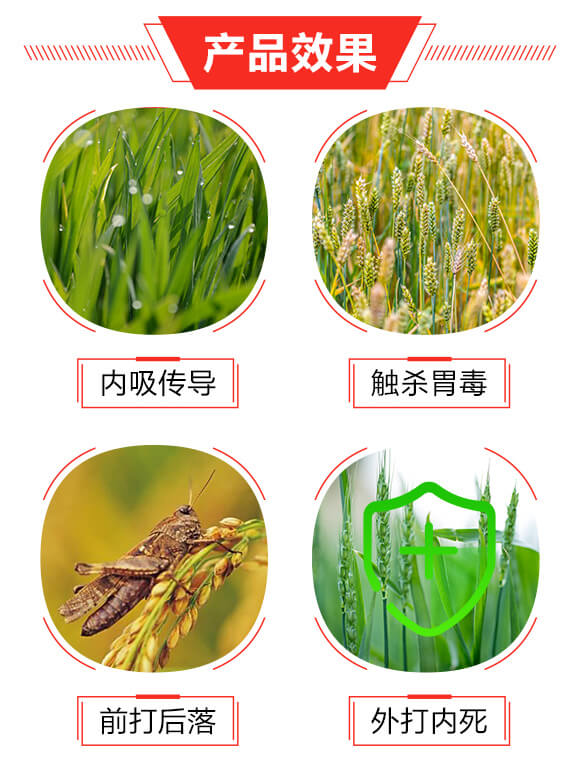 20%溴氰·吡蟲(chóng)啉（200ml）-巧喜-富利達(dá)_03