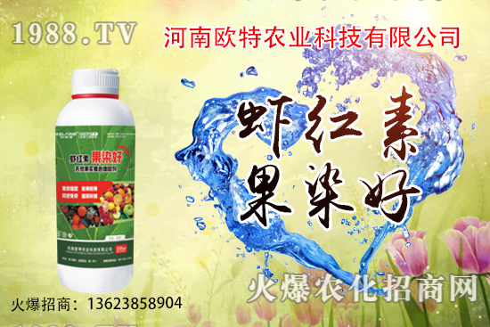  草莓苗品種如何選擇，怎么提高草莓苗種植成活率？