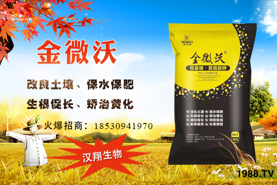 家中庭院可以種葡萄嗎？葡萄什么時候種？怎么種植？
