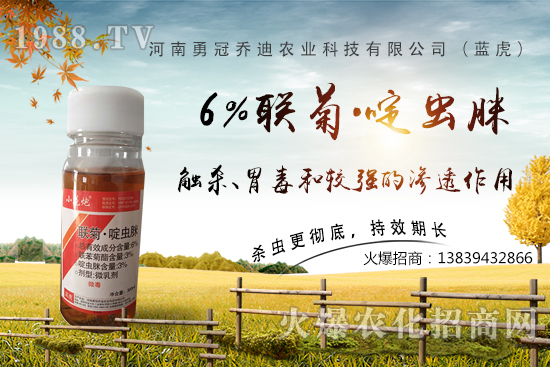 番茄白粉虱大爆發(fā)，防治難？“6%聯(lián)菊·啶蟲脒”卵蟲通殺，藥性強(qiáng)！
