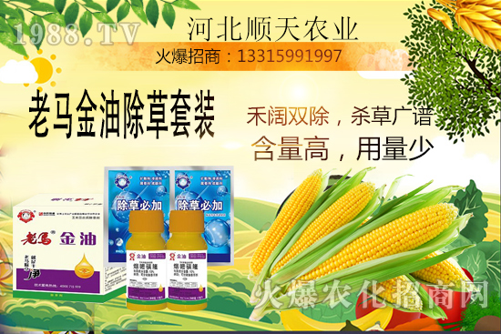 如何提高玉米苗后除草效率？玉米除草關(guān)鍵點大匯總！