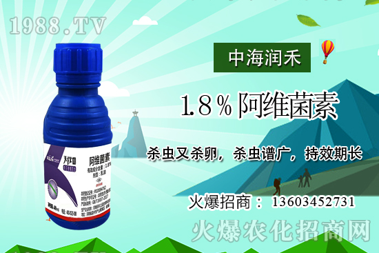 斜紋夜蛾高發(fā)期，防治工作迫在眉睫！斜紋夜蛾如何用藥？