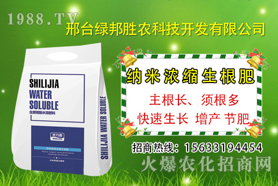 番茄死棵究竟哪些原因所致，如何預(yù)防番茄死棵發(fā)生？