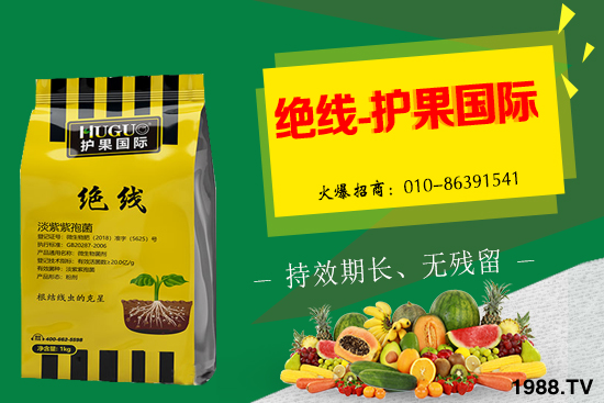 �޻���ʲôҪ�����������Щ��̎���޻�������g�������h��