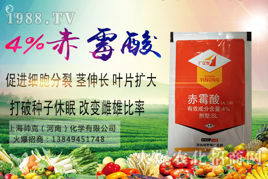 魔芋種植要點有哪些？魔芋市場價格及種植前景分析！
