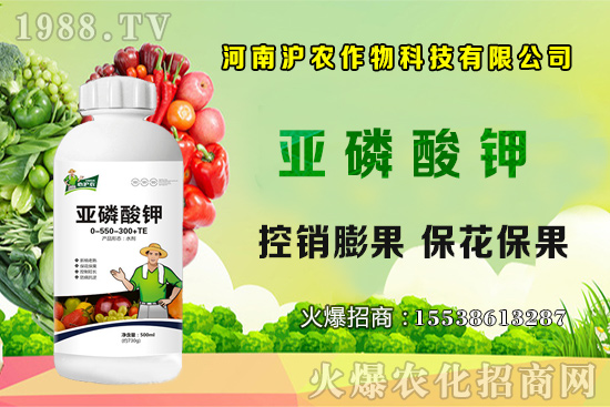 大蔥育苗要點(diǎn)你知道嗎？大蔥常見病蟲害有哪些？如何防治？