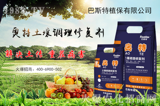秋白菜怎么種植？秋白菜種植要點及苗期管理！