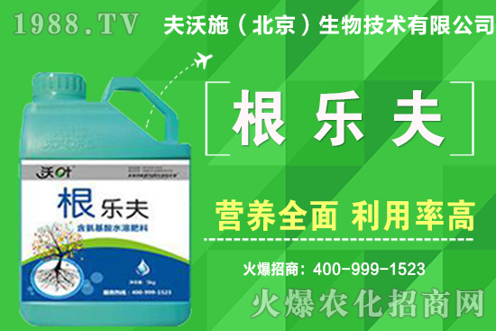 如何給蔬菜留種？蔬菜種子如何采收？良種標準有哪些？