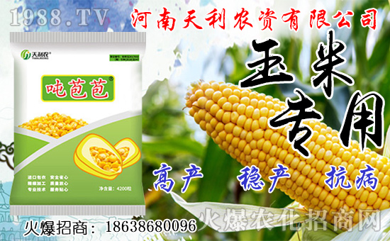 種人參果到底掙不掙錢？種植前景如何？人參果種子怎么種？