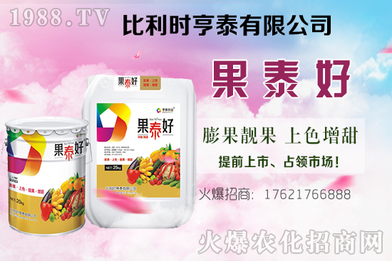 油茶樹的價格怎樣？種植前景如何？油茶樹畝產(chǎn)效益分析！