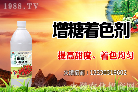 火龍果澆水過多有什么影響，火龍果澆水方法及澆水量！