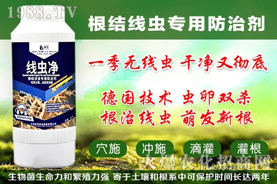 火龍果套袋起什么作用，火龍果套袋果袋如何選擇？