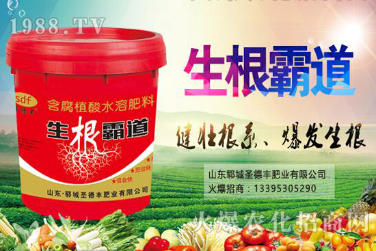 花椒樹種植季節(jié)是什么時(shí)候？花椒樹種植技巧有哪些？