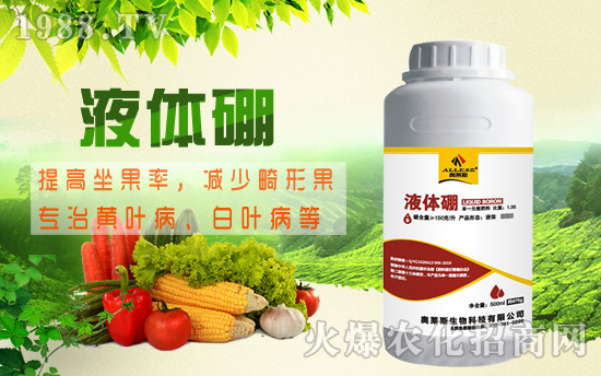 棉花缺硼危害究竟有多大，棉花缺硼癥狀及硼肥施用技術(shù)！