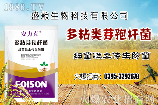 車厘子種植環(huán)境要求有哪幾點？車厘子良種選擇及良種套種！